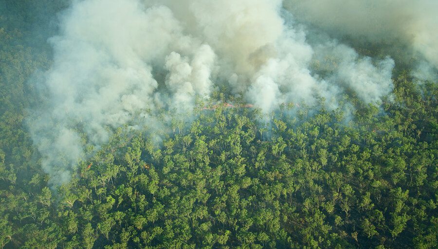 Aerial view of smoke covering the trees during a bushfire