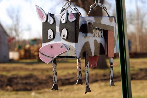 cow mailbox