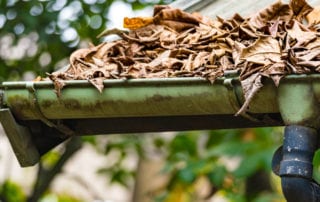 Cleaning gutters of leaves.