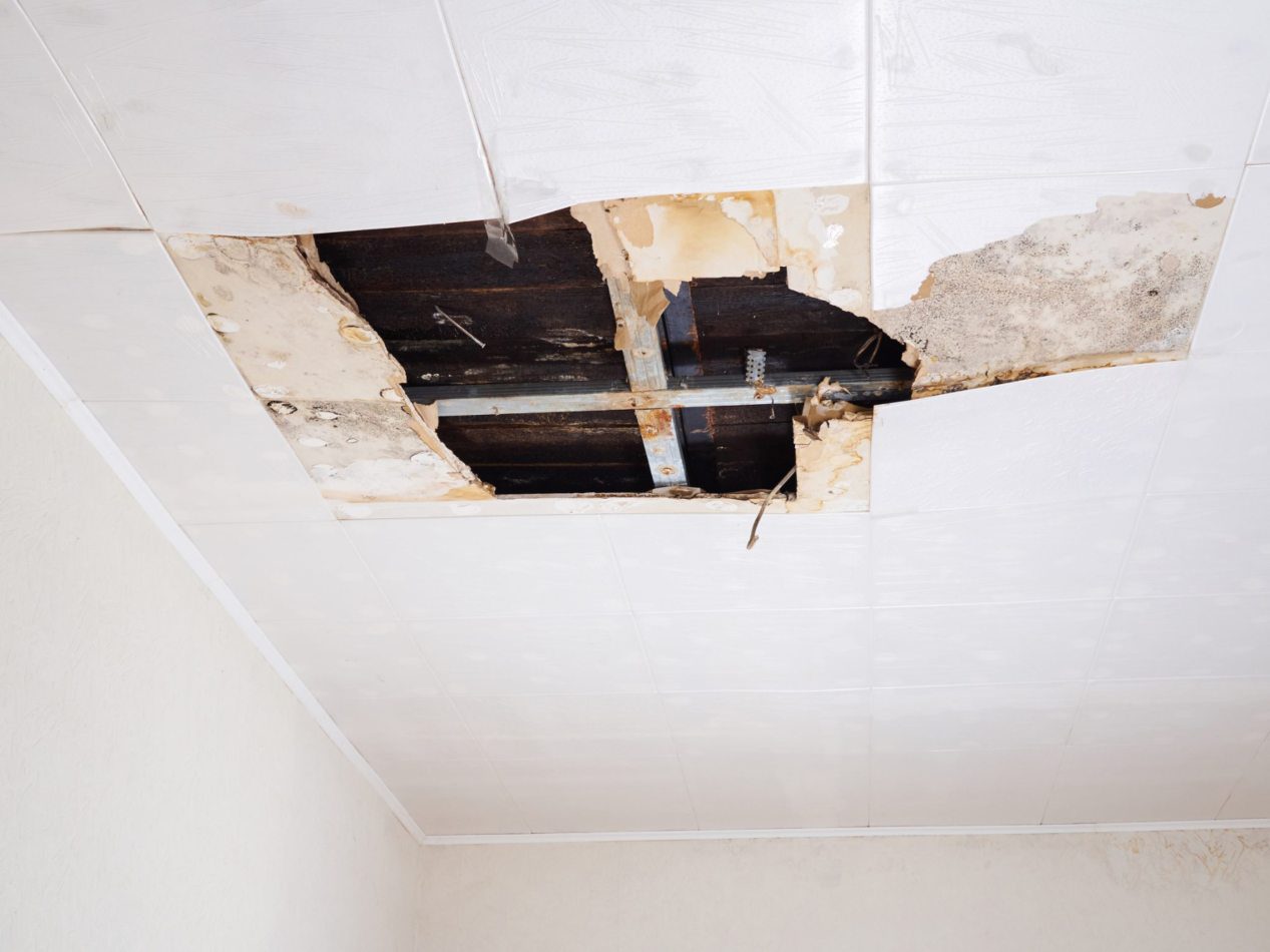 Disaster Proof Plan for Your Home in Queensland